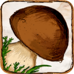 The Mushroom Book for PC The Mushroom Book for PC
