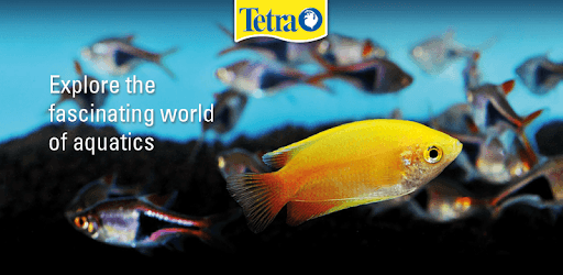 Tetra Aquatics PC screenshot Tetra Aquatics PC screenshot