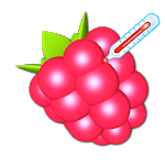 RasPi Check icon