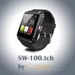 SW-100.tch by Callstel for PC