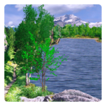 Summer Live Wallpaper for PC