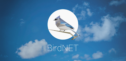 BirdNET: Bird sound identification PC screenshot BirdNET: Bird sound identification PC screenshot
