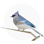 BirdNET: Bird sound identification for PC BirdNET: Bird sound identification for PC