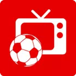 MobileTV for PC