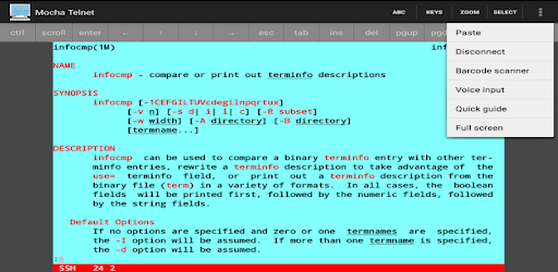 Mocha Telnet Lite PC screenshot