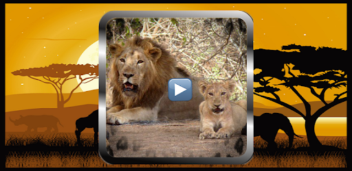 Wild animals documentaries PC screenshot Wild animals documentaries PC screenshot