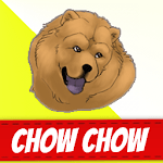 Chow Chow Dogs for PC Chow Chow Dogs for PC