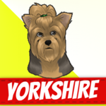 Yorkshire Terrier Dogs for PC