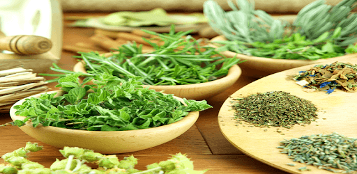 Herbs and Use PC screenshot