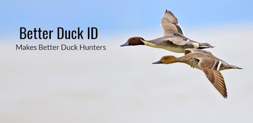 The Duck ID App PC screenshot The Duck ID App PC screenshot