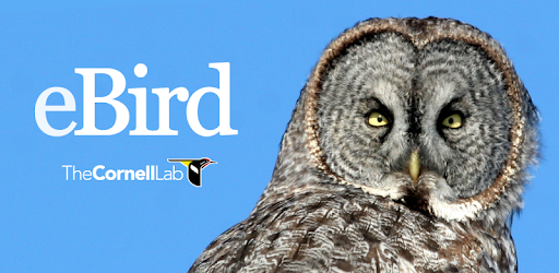eBird by Cornell Lab PC screenshot