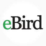 eBird by Cornell Lab icon