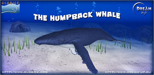 The Humpback Whale PC screenshot The Humpback Whale PC screenshot
