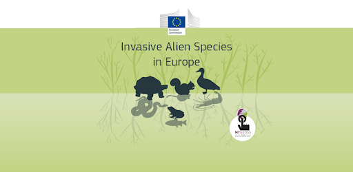 Invasive Alien Species Europe PC screenshot