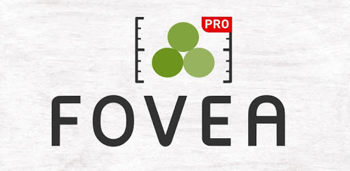 iFOVEA Pro PC screenshot iFOVEA Pro PC screenshot