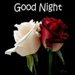 Goodnight gif hindi for PC Goodnight gif hindi for PC