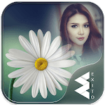 Daisy Flower Photo Frames for PC
