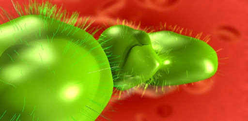 Kill viruses PC screenshot