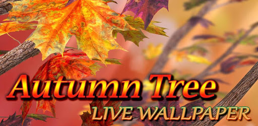 Autumn Tree Free Wallpaper PC screenshot Autumn Tree Free Wallpaper PC screenshot