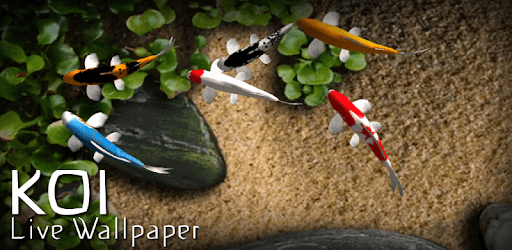 Koi Free Live Wallpaper PC screenshot Koi Free Live Wallpaper PC screenshot