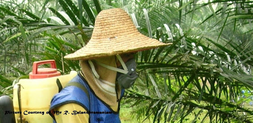 Oil Palm Pesticide Calculator PC screenshot