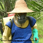 Oil Palm Pesticide Calculator icon
