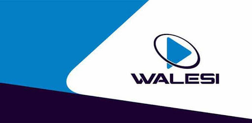 Walesi PC screenshot Walesi PC screenshot