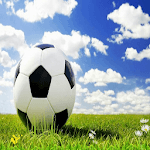 basic soccer training for PC