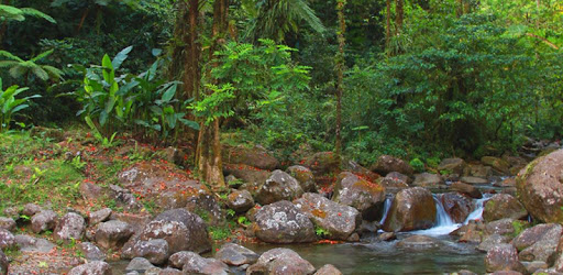 Martinique tour by bois lélé PC screenshot Martinique tour by bois lélé PC screenshot