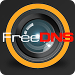 DDNS FREE IP CAMERA DVR/NVR for PC