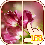 Find the Differences 188 for PC