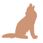 Wolf VPN - Free VPN Proxy & Wi-Fi Security for PC Wolf VPN - Free VPN Proxy & Wi-Fi Security for PC
