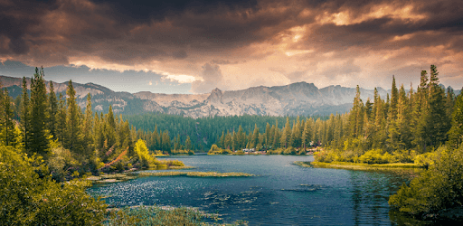 Nature Pictures HD Wallpapers PC screenshot