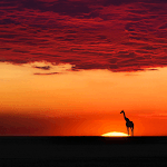 Nature Pictures HD Wallpapers for PC