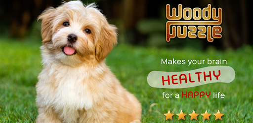 Woody™ Puzzle PC screenshot Woody™ Puzzle PC screenshot