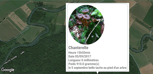 GeoMushroom - Mushroom picking Mycology PC screenshot