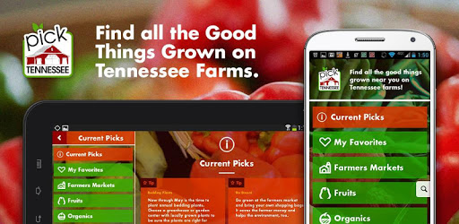 Pick Tennessee PC screenshot Pick Tennessee PC screenshot