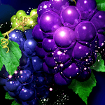 Grape! Live Wallpaper.Trial icon