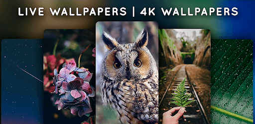 Live Wallpapers - 4K Wallpapers PC screenshot