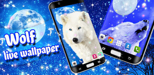 Wolf live wallpaper PC screenshot Wolf live wallpaper PC screenshot