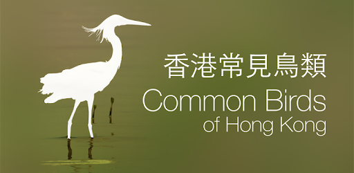 Common Birds of Hong Kong PC screenshot