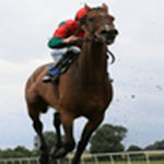 Horse Racing System for PC