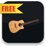 Acoustic Guitar Lessons for PC