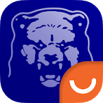 KHL Medveščak Izzy for PC