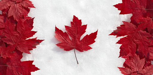 Go Canada Immigration PC screenshot Go Canada Immigration PC screenshot