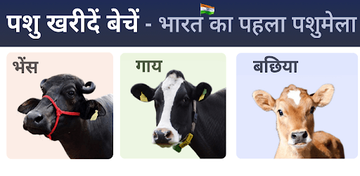 गाय भैंस wala पशुमेला - Animall app PC screenshot गाय भैंस wala पशुमेला - Animall app PC screenshot