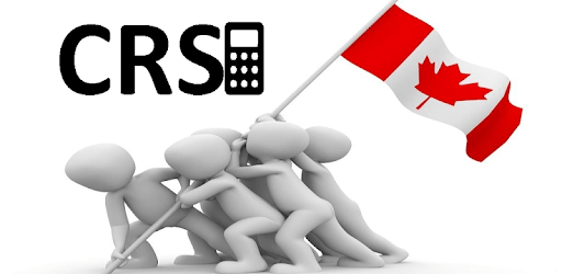 Express Entry CRS Calculator for Canadian PR PC screenshot Express Entry CRS Calculator for Canadian PR PC screenshot