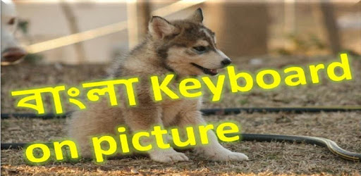 bangla keyboard on picture PC screenshot bangla keyboard on picture PC screenshot