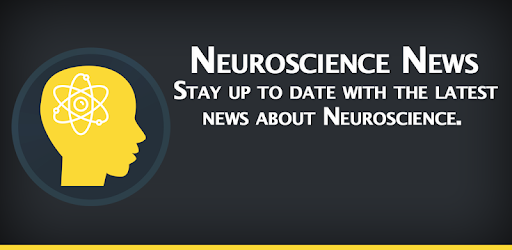 Neuroscience 24h- Mind & Brain PC screenshot Neuroscience 24h- Mind & Brain PC screenshot