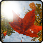Falling Leaves Free Wallpaper for PC